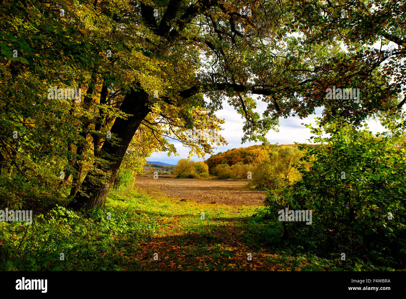 Beautiful autumn landscape Stock Photo - Alamy