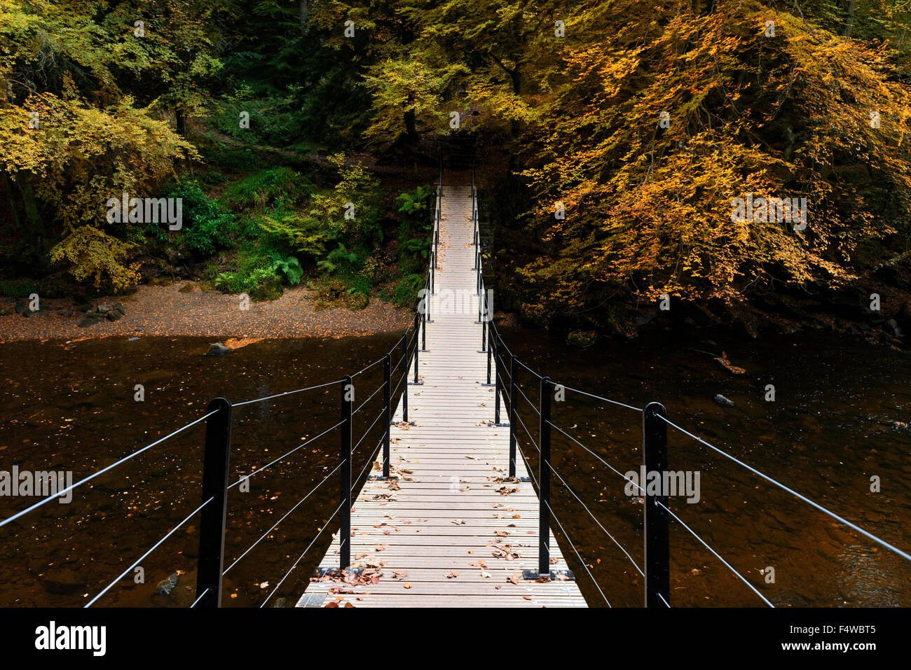 Footbridge Stock Photo