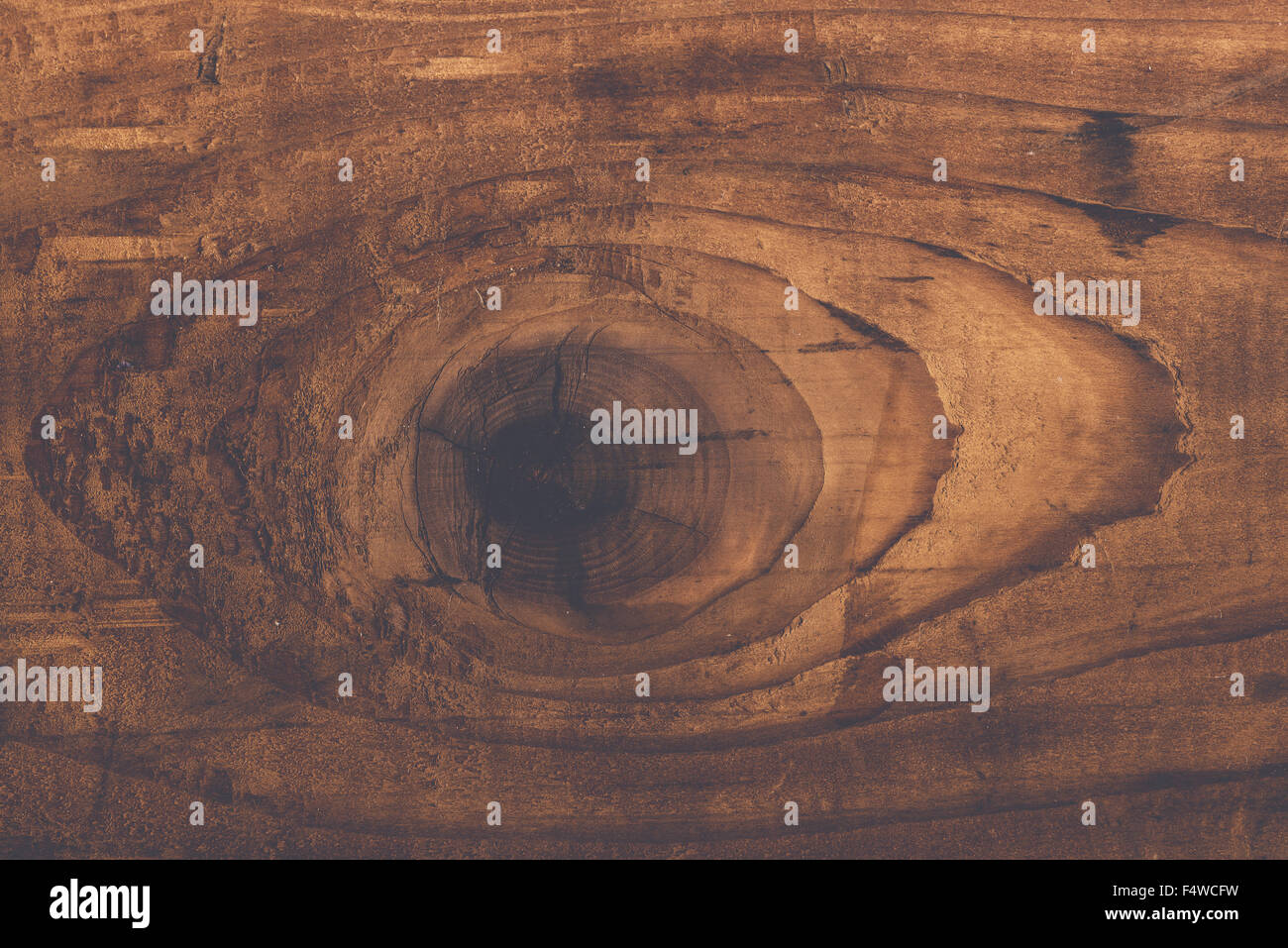 Retro toned rustic wood knot on oak plank texture, used stained wooden board with growth rings Stock Photo