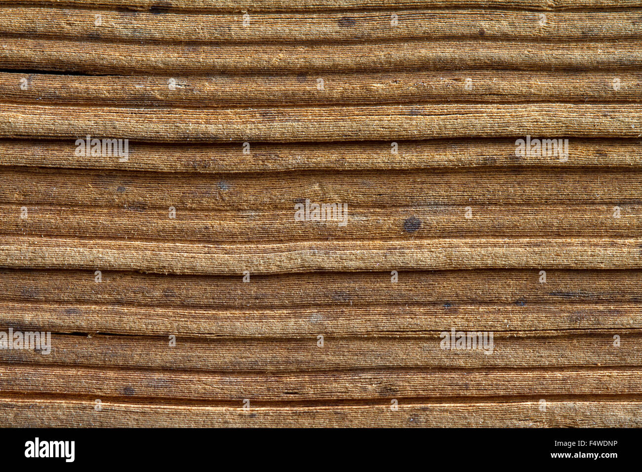 Old vintage paper pages of ancient book background texture Stock Photo