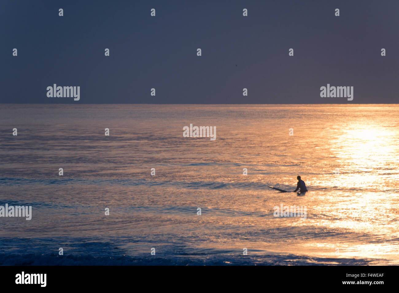 USA, South Carolina, Charleston County, Isle of Palms, Surfer waiting for waves at sunset Stock Photo
