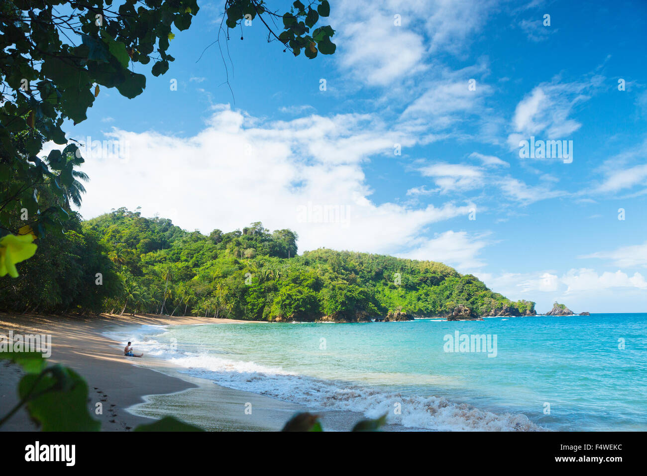 Trinidad and Tobago, Tobago, Englishman's Bay, Scenic view of coastline