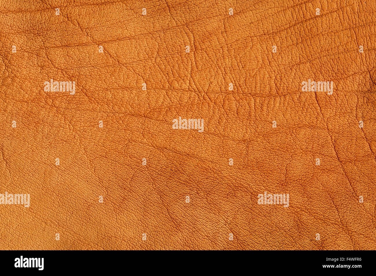 Brown crumpled leather texture background, high resolution Stock Photo ...