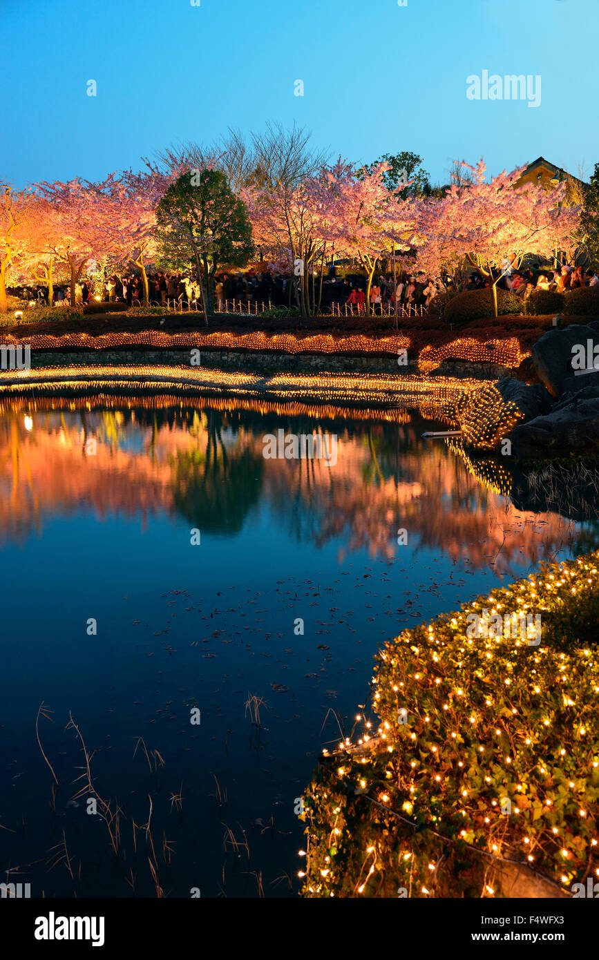 Nabana no Sato winter illumination. Reflections of foliage in the pond. Attractions of Nagoya. Stock Photo