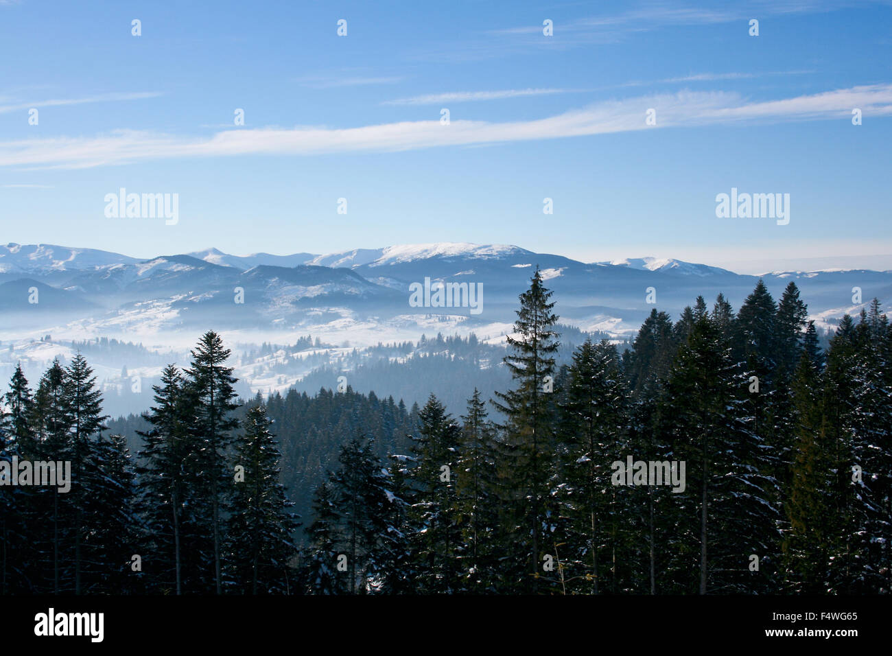 Beautiful winter landscape with snow covered trees and mountains on the ...