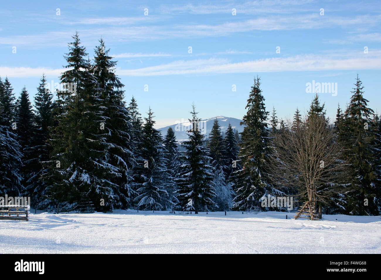 Beautiful winter landscape with snow covered trees and mountains on the ...