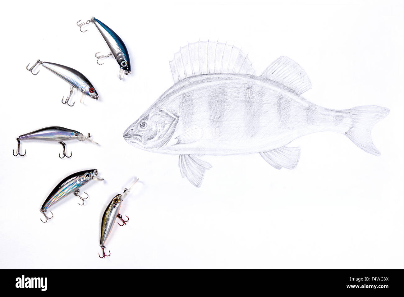 Different kinds of fishing plastic baits with drawing perch on the white  background. Drawing with graphite pencil Stock Photo - Alamy