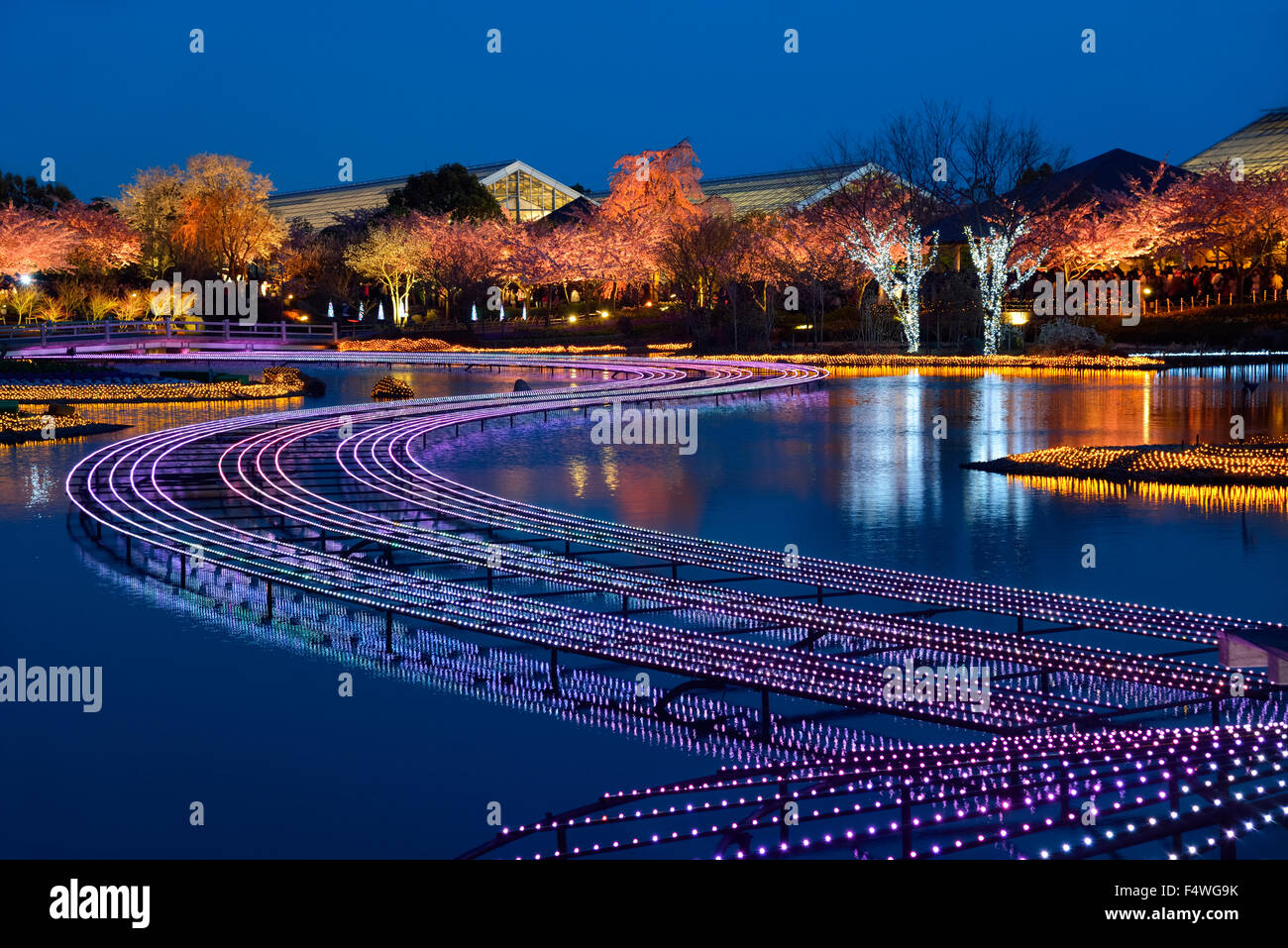 Nabana no Sato winter illumination. Stream of lights across the pond. Attractions of Nagoya. Stock Photo