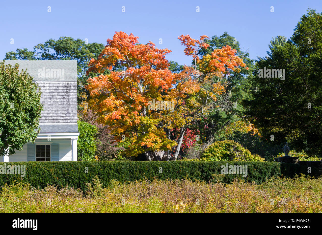 Halloween in New London New Hampshire Stock Photo Alamy