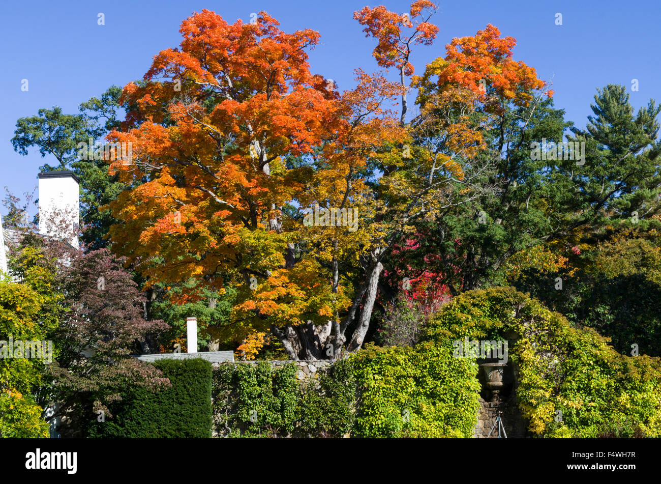 Halloween in New London New Hampshire Stock Photo Alamy