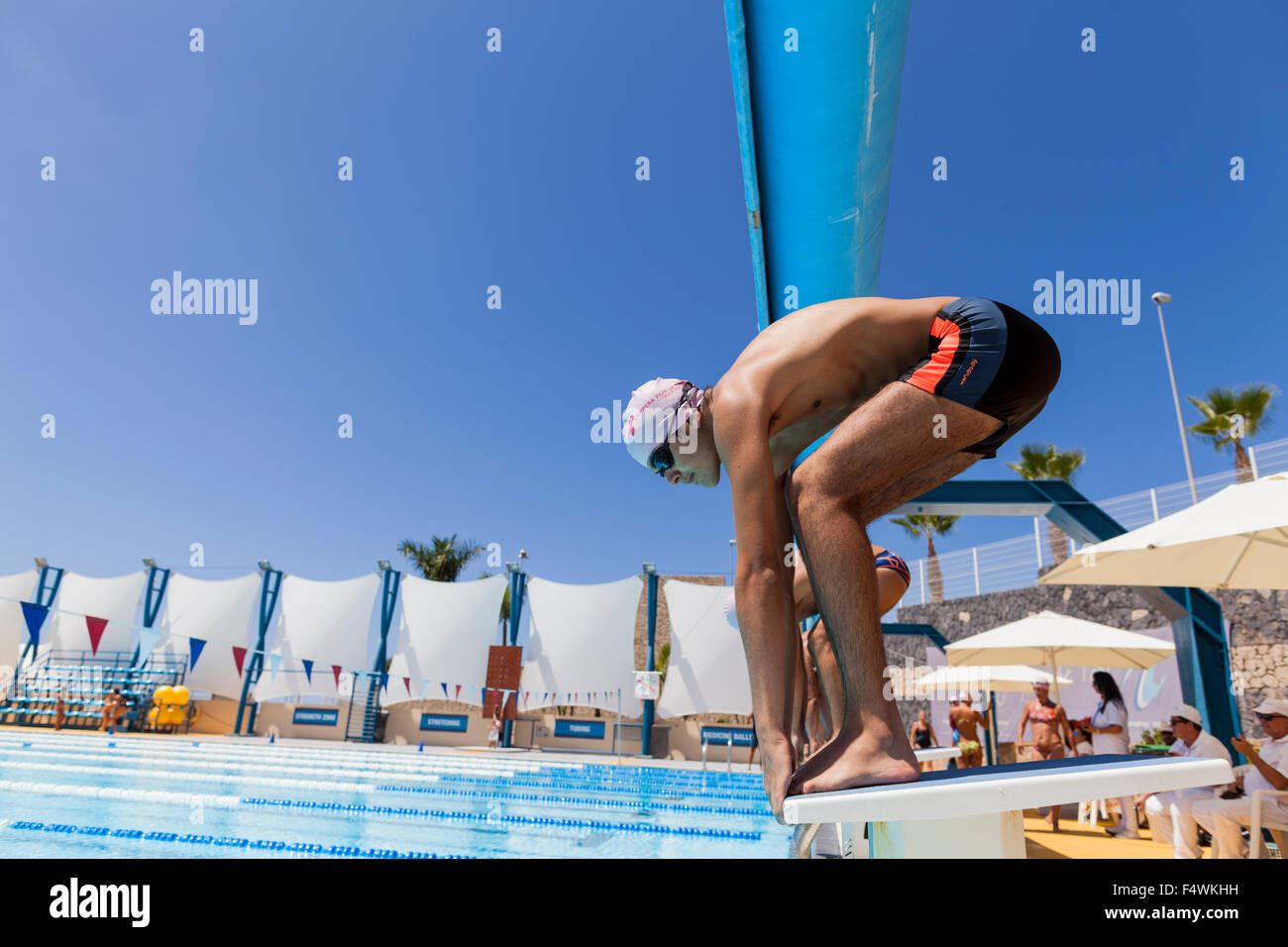 Swimmers ready to dive into the pool at the start of a race. Stock Photo