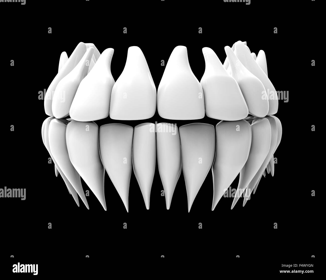 Dentistry Black and White Stock Photos & Images Alamy