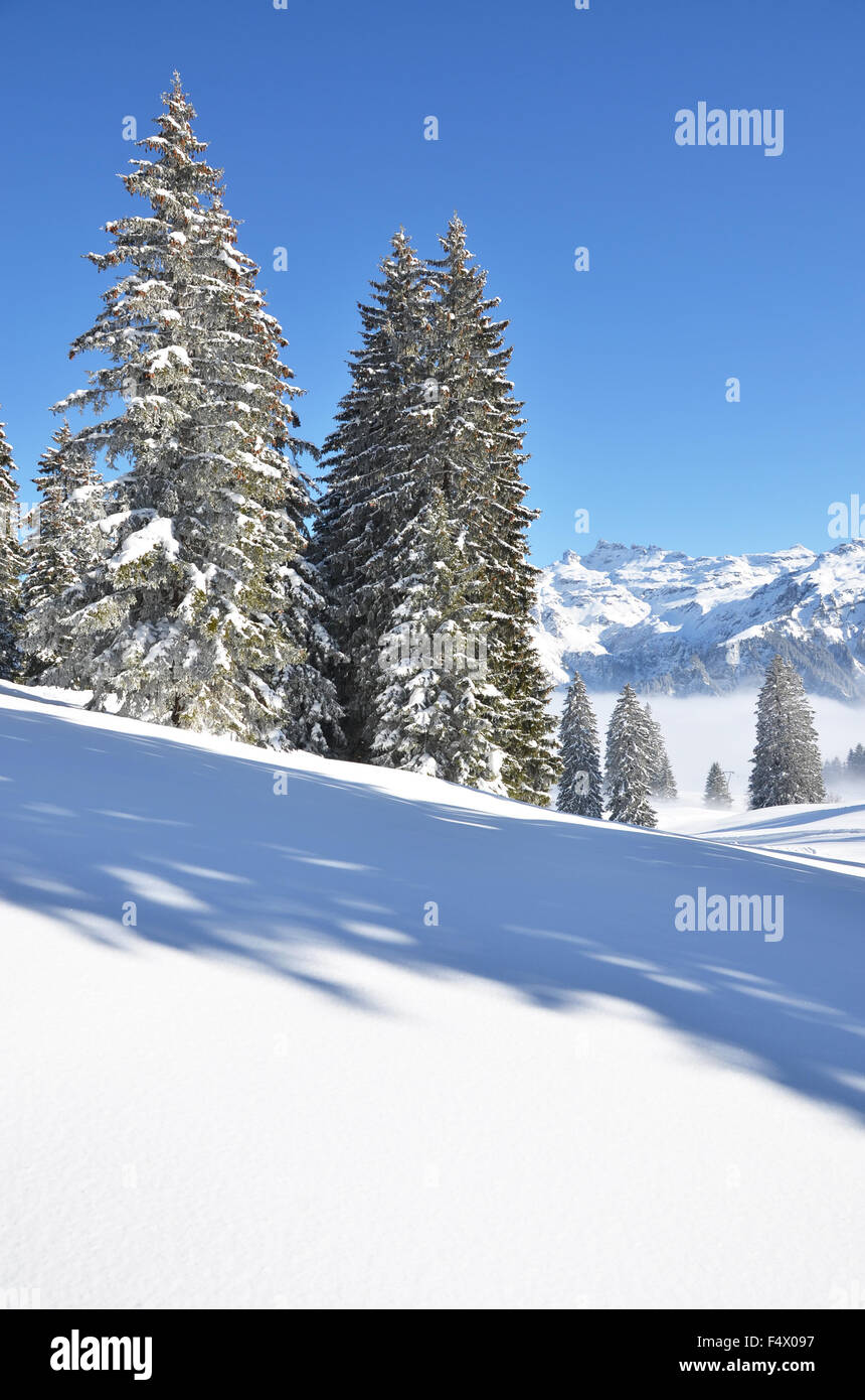 Winter in the Swiss Alps Stock Photo - Alamy