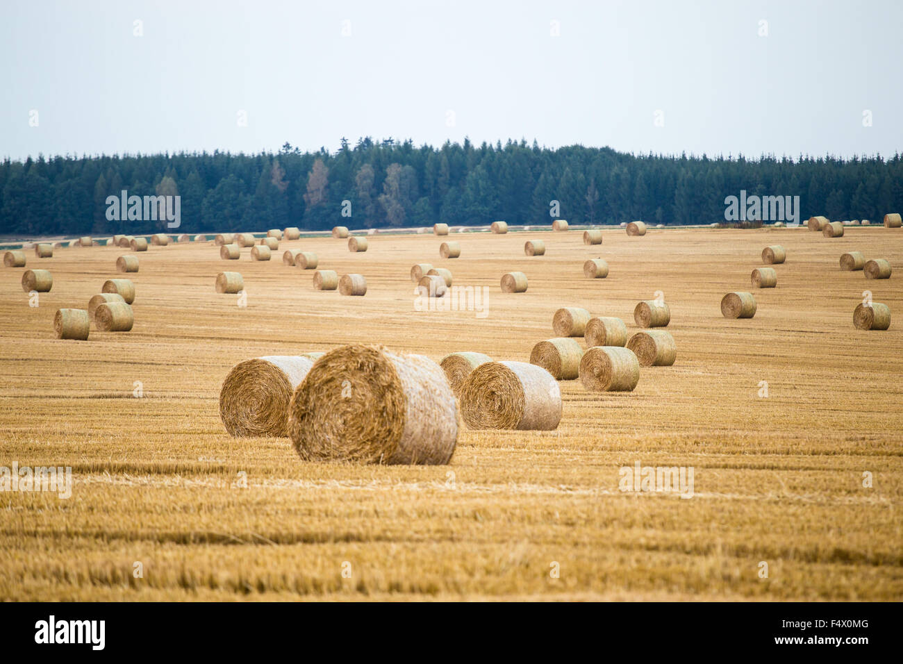 Field hay bales after harvest hi-res stock photography and images - Alamy