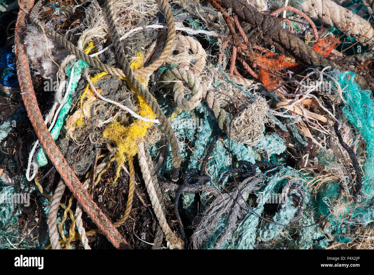 Ropes and nets collected along the coast of a North Pacific island by tourists for proper disposal to prevent harm to marine wildlife Stock Photo