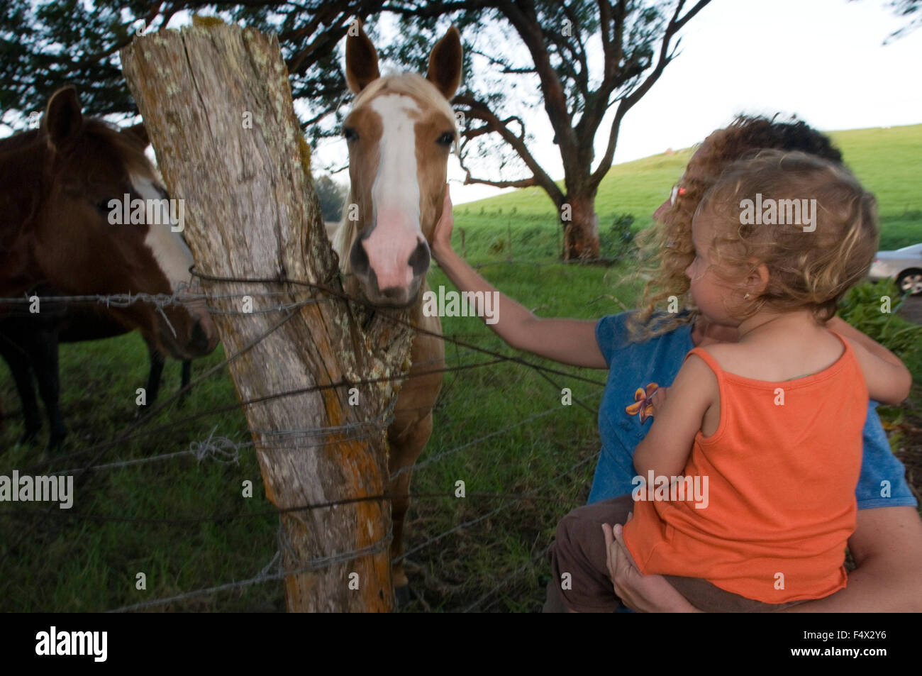 A mother and daughter petting a horse. Horses near of one of the many ranches around Waimea. Big Island. Hawaii. USA. Travel eas Stock Photo