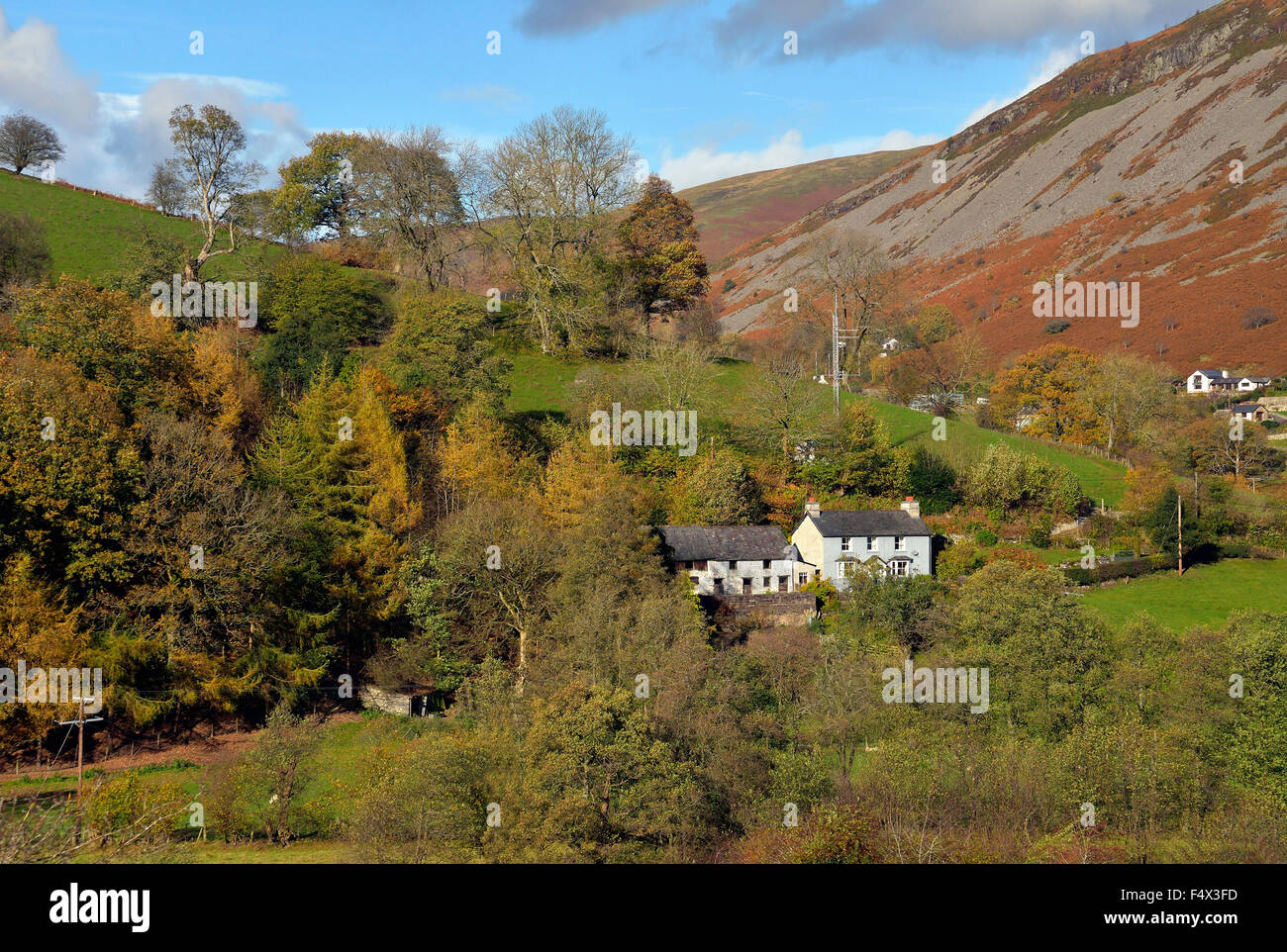 Firthfoto High Resolution Stock Photography and Images - Alamy