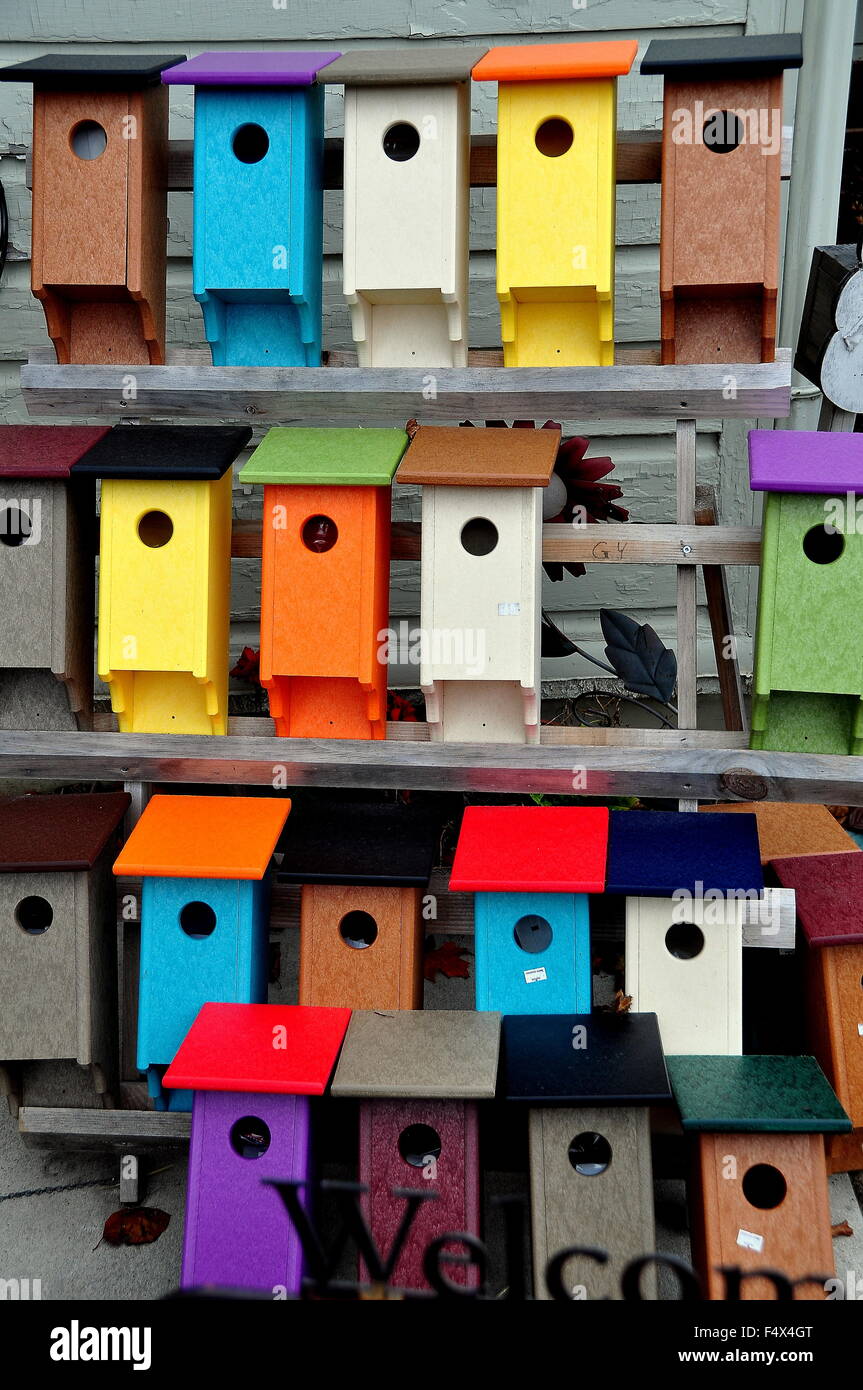 Bird-in-Hand, Pennsylvania: Colourful hand-crafted Amish bird houses  displayed at the Bird-in-Hand Farmer's Market Stock Photo - Alamy