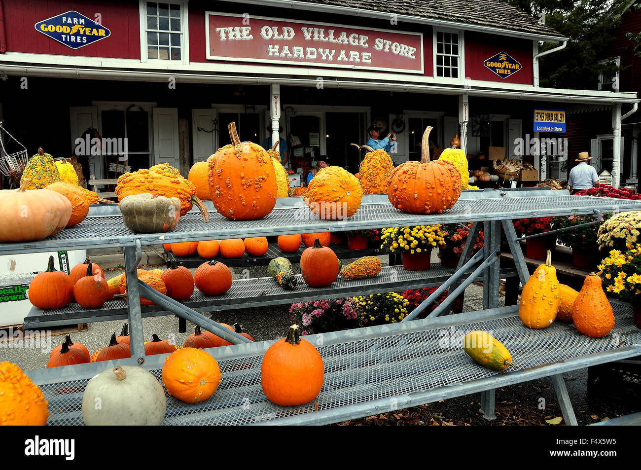 BirdinHand, Pennsylvania Pumpkins, gourds, and Chrysanthemums are