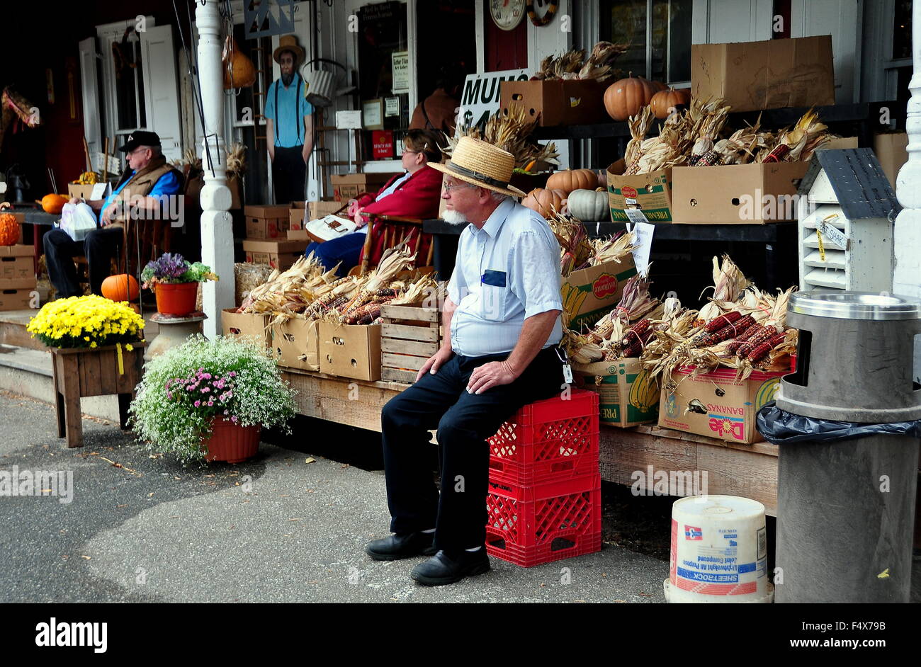 BirdinHand, Pennsylvania Mennonite horse & buggy driver sitting by
