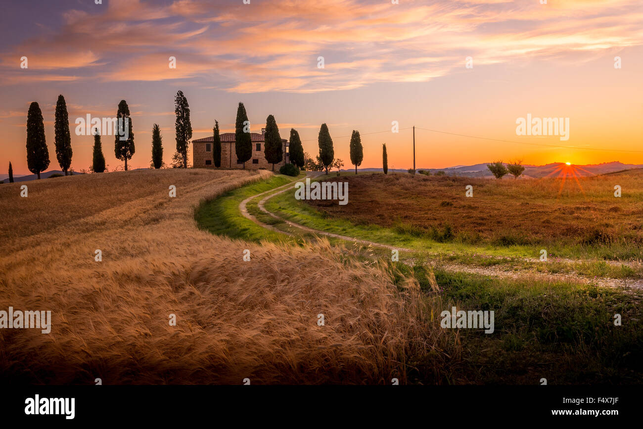 Tuscan sunrise landscape with farmhouse and cypress trees Stock Photo ...