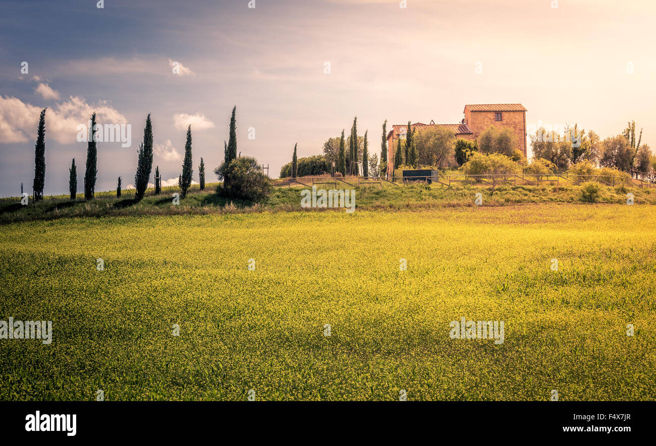 Italian country house on a green hill in Tuscany Stock Photo - Alamy