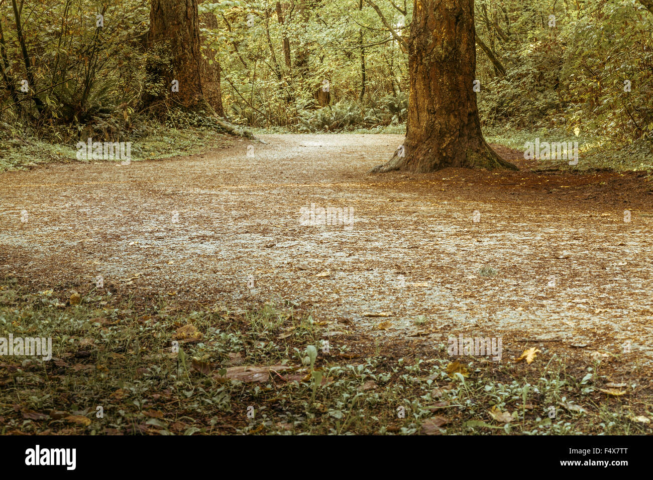 Burnaby central park hires stock photography and images Alamy