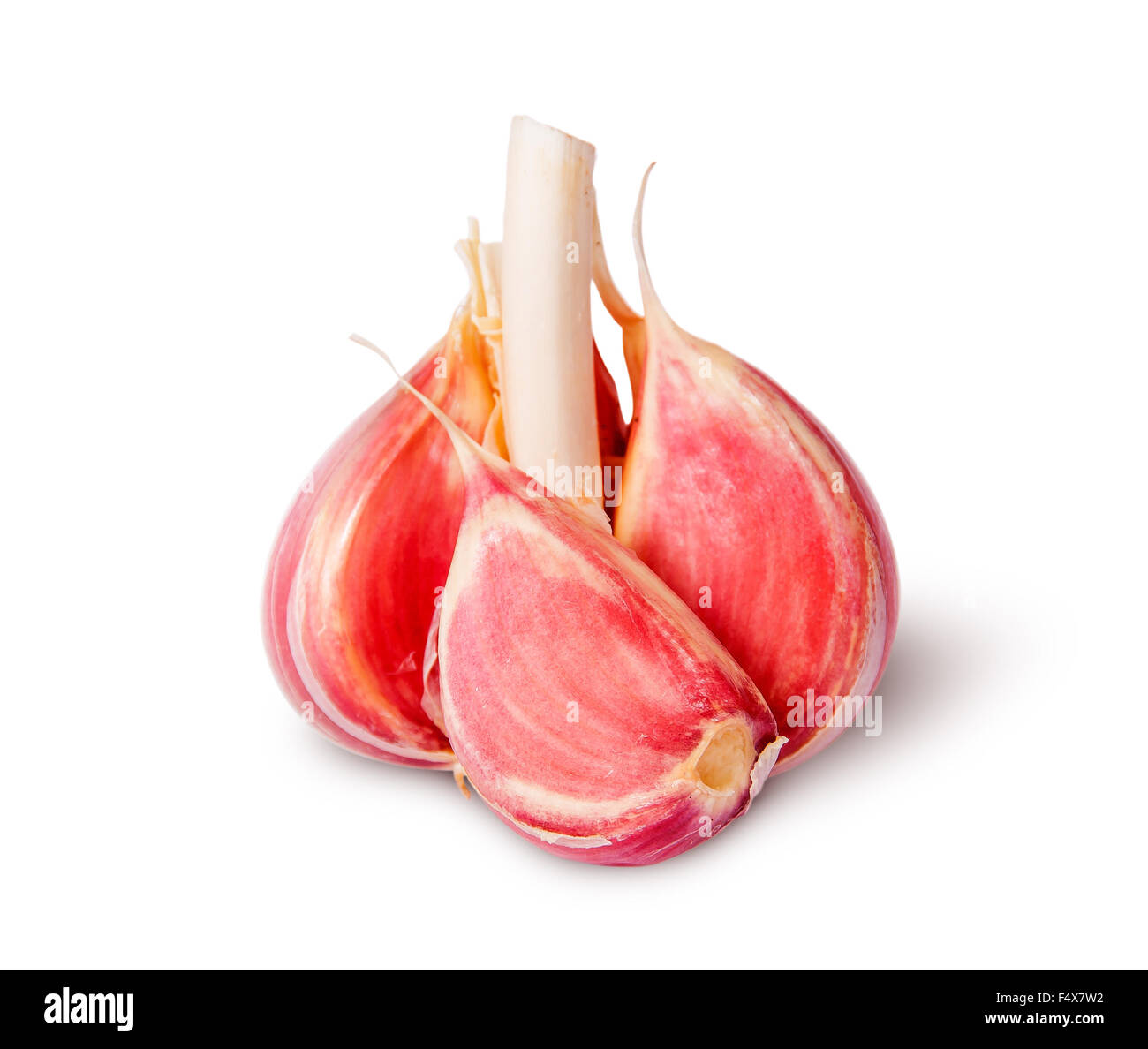 Half head of garlic and garlic clove isolated on white background Stock Photo