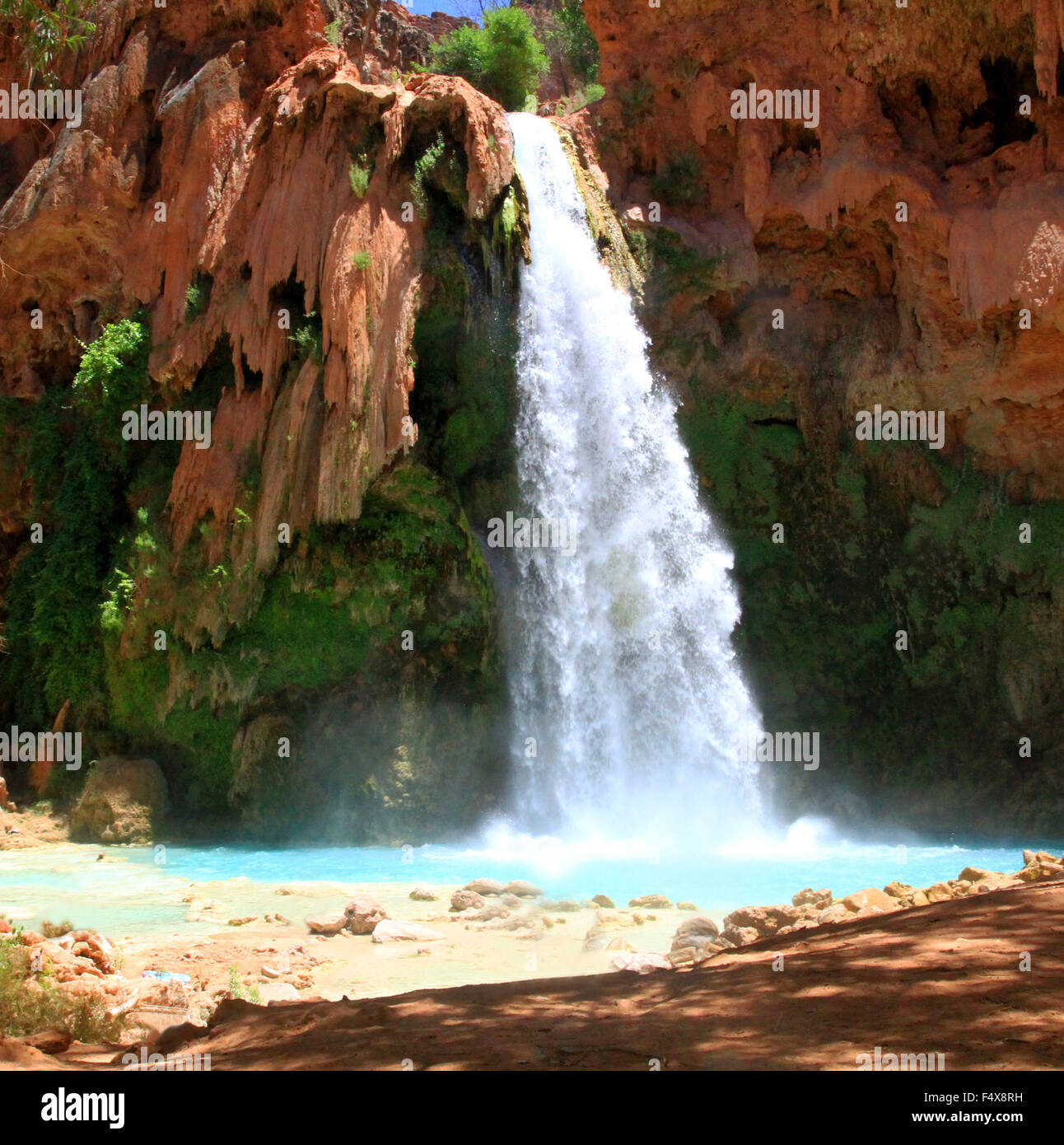 Havasu falls in the Havasupai region of the grand canyon in Arizona ...