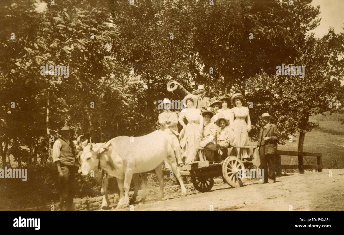Group A stylish in a chariot pulled by oxen, Italy Stock Photo