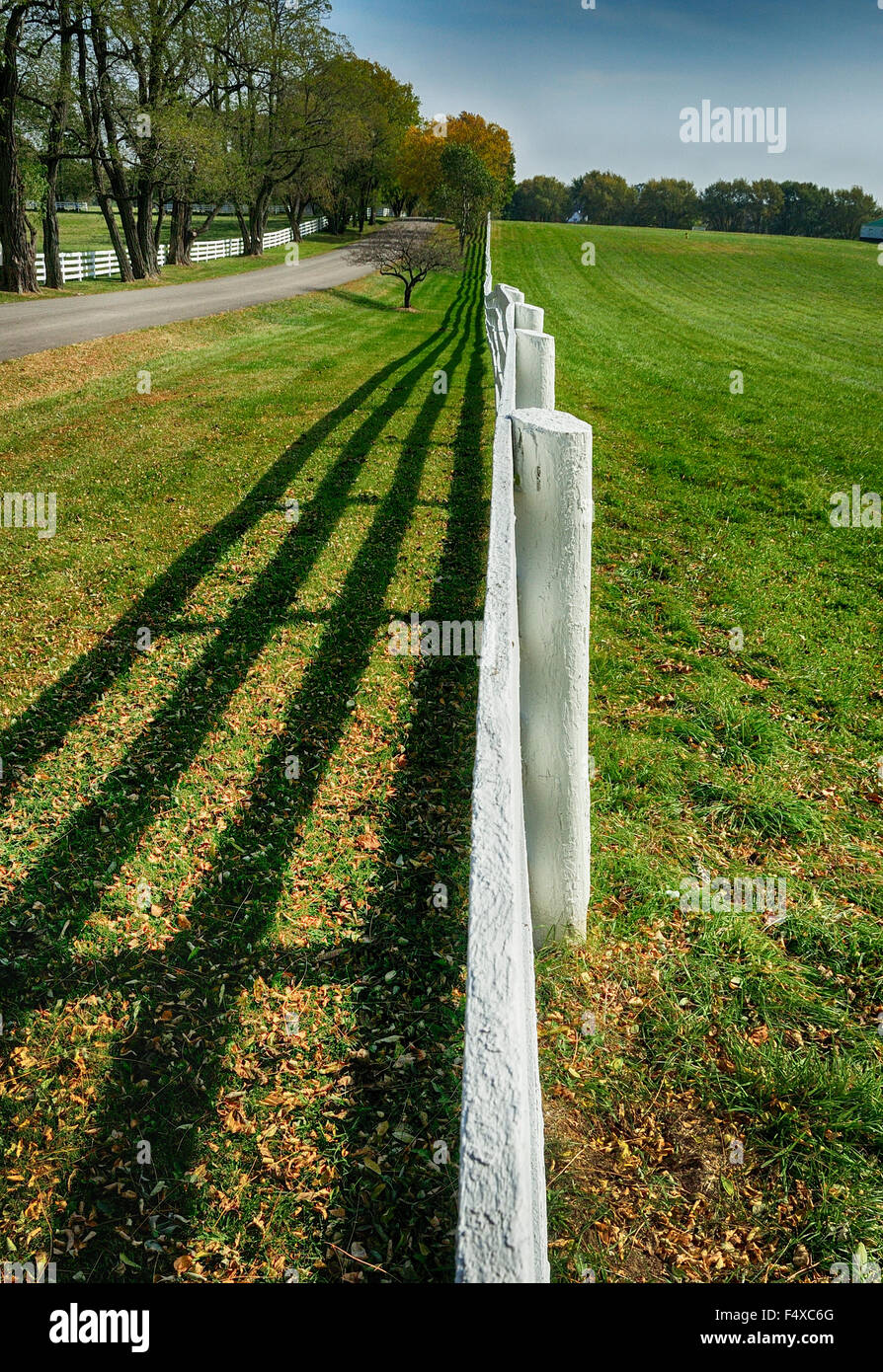 Rural farm fence looking parallel to fence line Stock Photo - Alamy