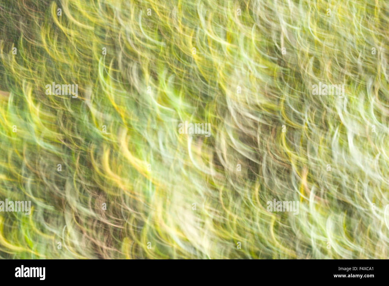Green abstract hi-res stock photography and images - Alamy