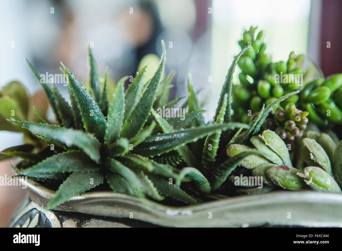 Centerpiece hi-res stock photography and images - Alamy