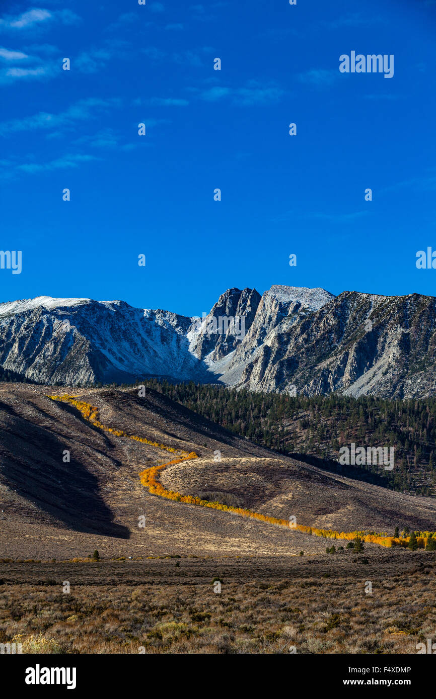 Fall color along Sherwin Creek near Mammoth Lakes California in the