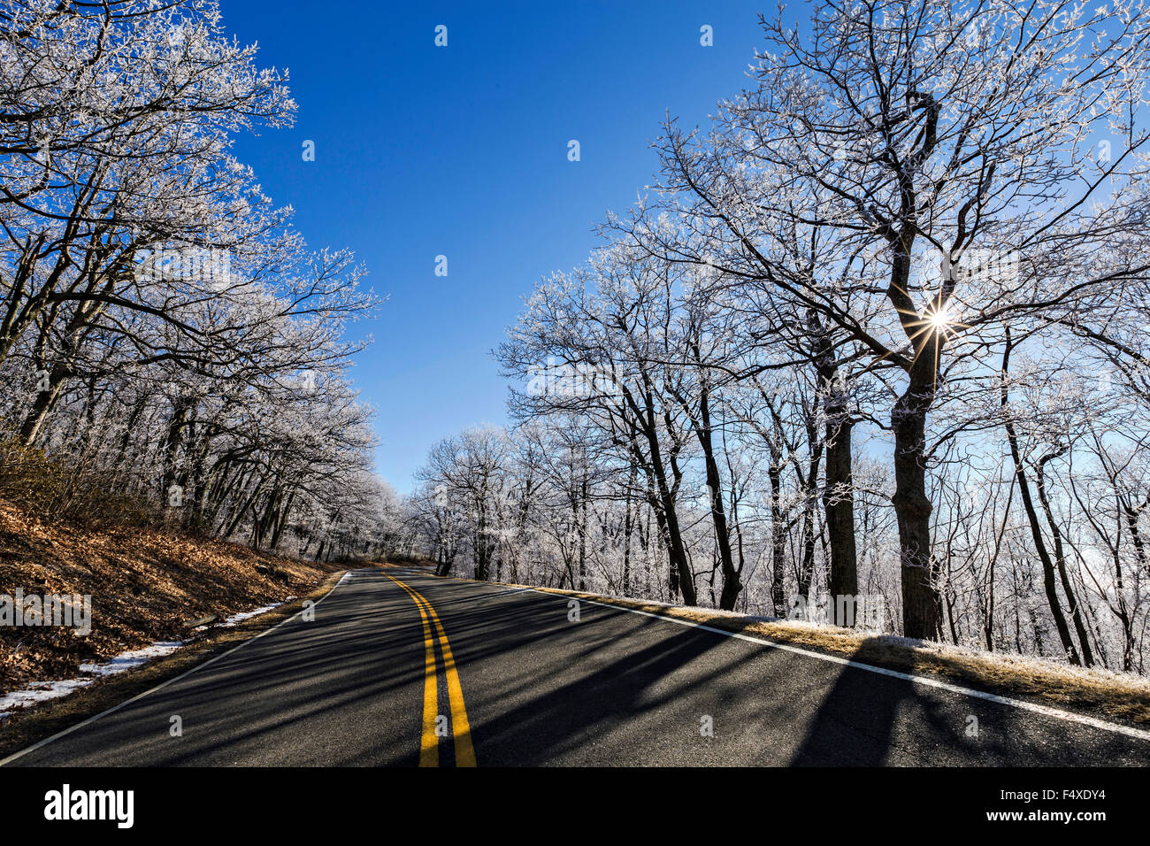 campgrounds on skyline drive