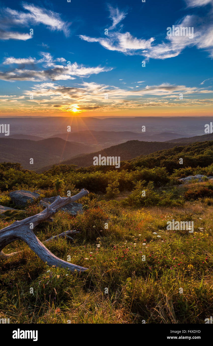 Sunset over Timber Hollow Overlook at Shenandoah National Park near Thornton Gap, Virginia. Stock Photo