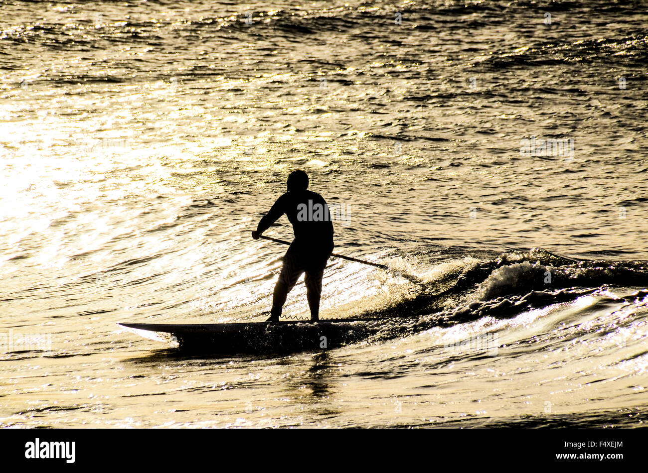 Silhouette Surfer at Sunset Stock Photo - Alamy