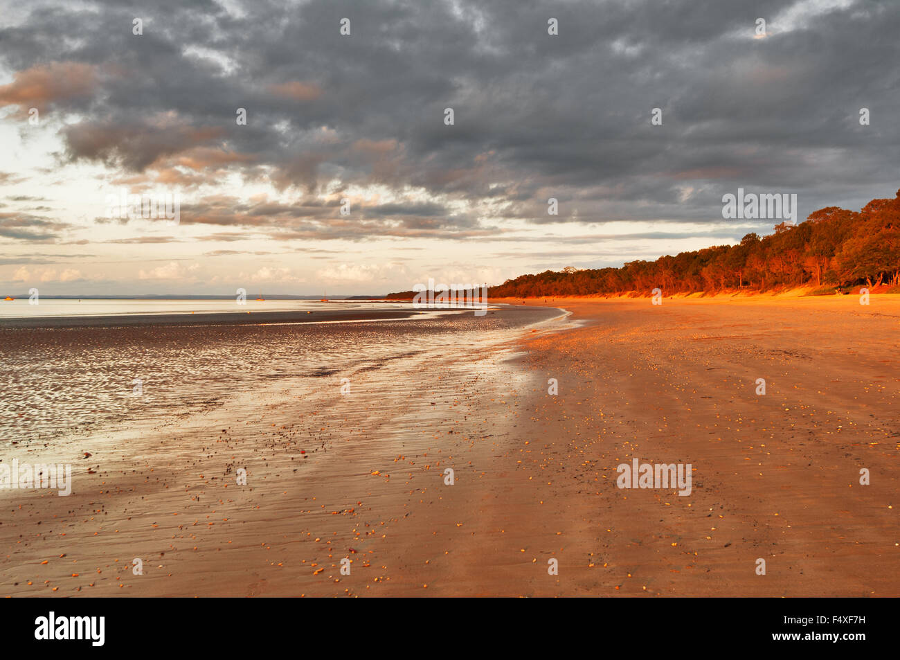 Sunrise at Shelly Beach in Hervey Bay. Stock Photo