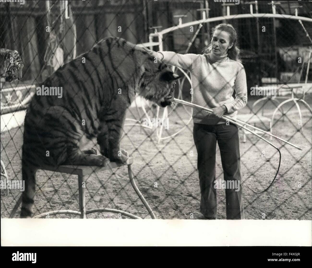 1968 - Chipperfield's' is for millions synonymous with Circus, but Mary Chipperfields Circus is quite distinct and separate from her uncle Dick's circus - the one that most of us associate the name with. The confusion has in fact led to a serious family rift, and Mary had to suspend circus activities two years ago, but now she is back again - the call of the Ring is irresistible to a Chipperfield! The circus - a spectacular show featuring over 50 animals and about 40 artistes, including clowns, trapeze acts, etc. is now full swing on Clapham Common, there will be 3 shows daily until November 2 Stock Photo
