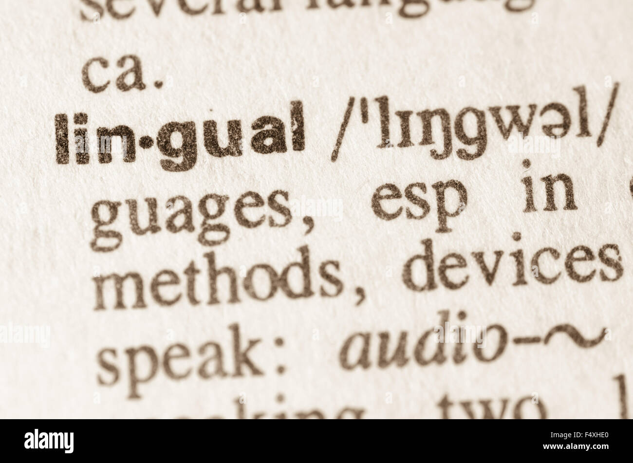Definition of word lingual  in dictionary Stock Photo