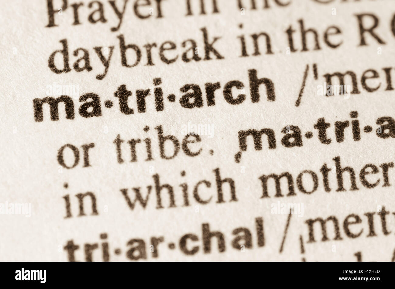 Definition of word matriarch  in dictionary Stock Photo