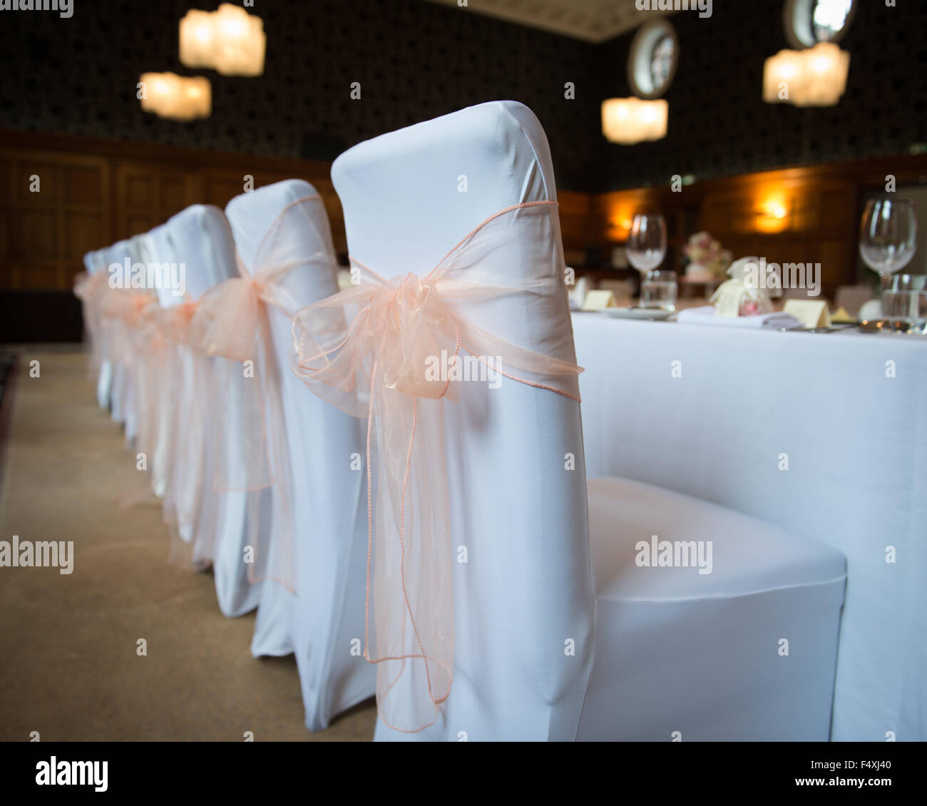 wedding chair covers with bows white covers with peach bows for wedding reception Stock Photo