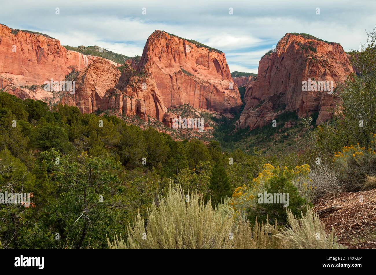 Kolob Canyon, Zion NP, Utah, USA Stock Photo Alamy
