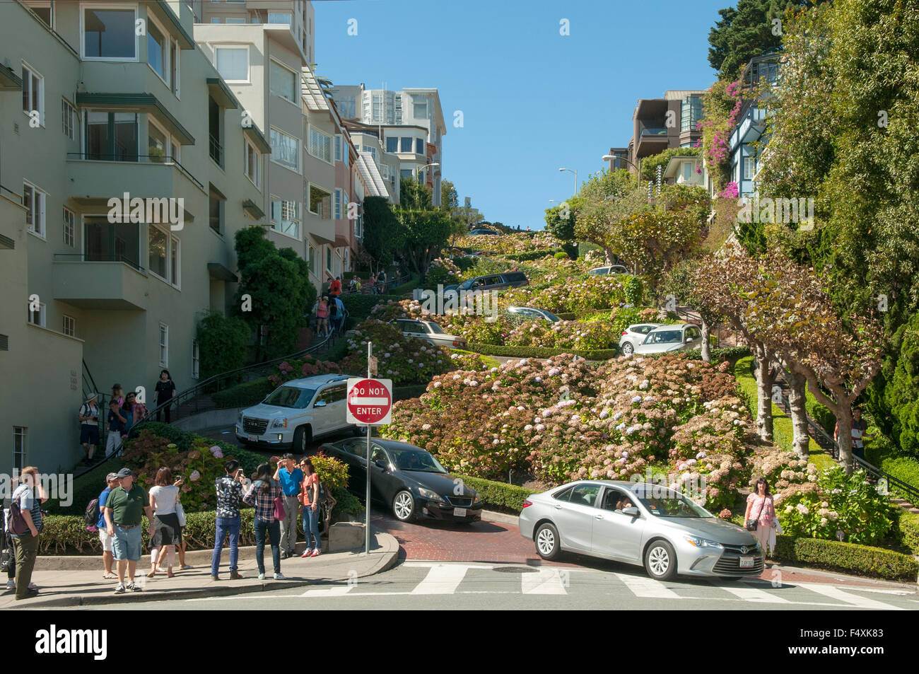 Lombard St Zigzags, San Francisco, California, USA Stock Photo