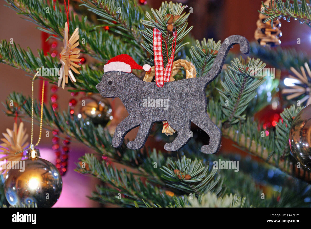 Cat in Santa hat christmas felt decoration on xmas christmas tree nordman fir in London, England Stock Photo