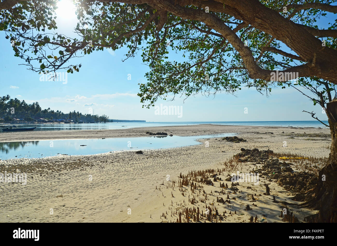 Serene atmosphere under the tree by the beach Stock Photo