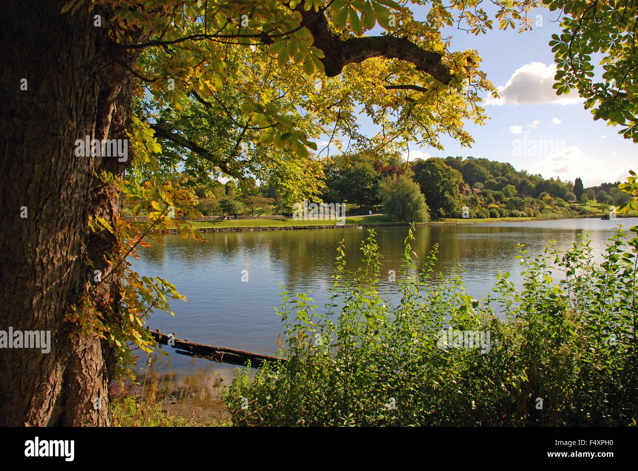 Lake and wooded area near Leeds Castle in autumn in Kent, England Stock Photo Alamy Lake and wooded area near Leeds Castle in autumn in Kent, England Stock Photo Alamy