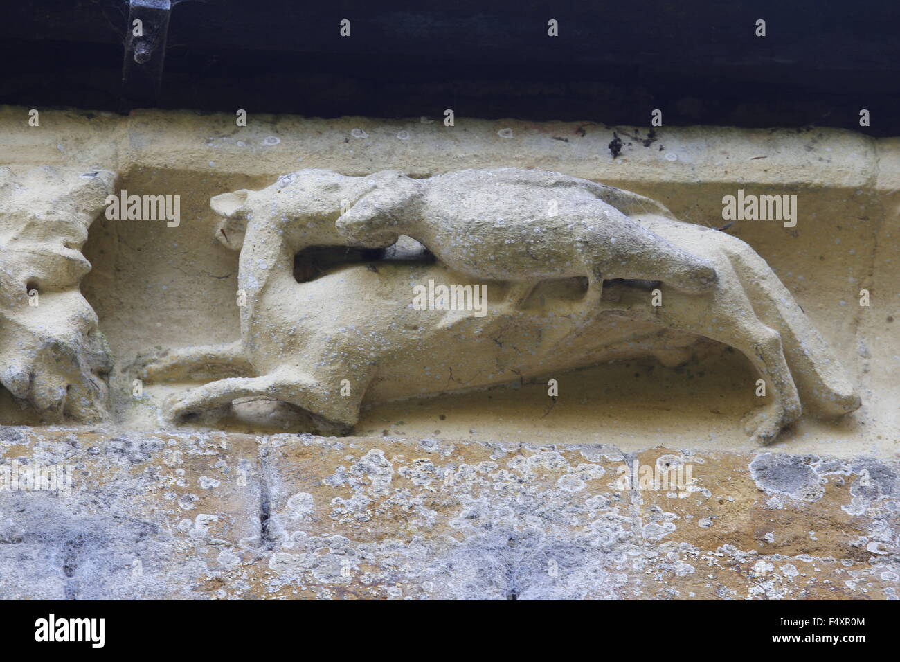Fox stealing a goose, carving on the Corbel table on the chancel of Hanwell Church, Oxfordshire. Oxford School of Stone Masons Stock Photo