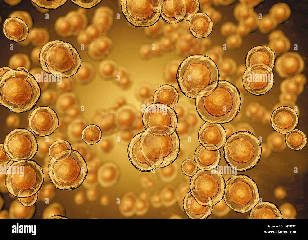 Abstract illustration of cells in mitosis or multiplication of cells Stock Photo