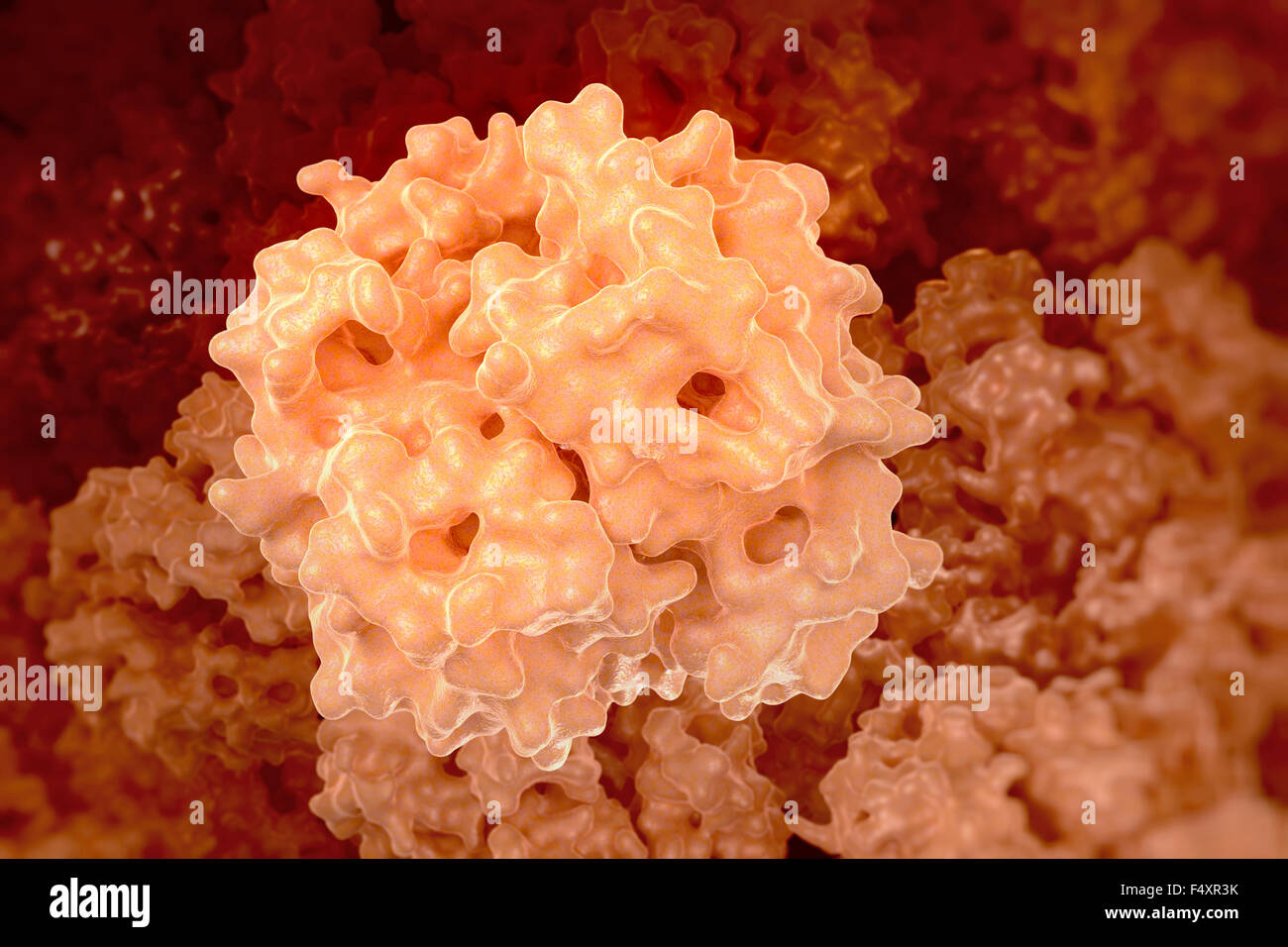 Hemoglobin (human, Hb) protein molecule, chemical structure Stock Photo